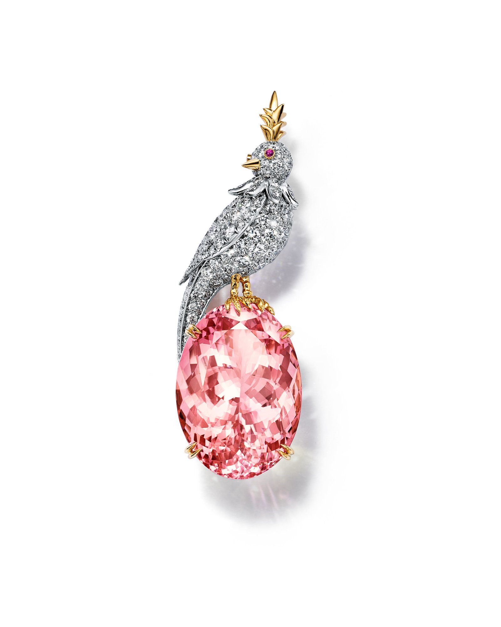 TIFFANY & CO. LANÇA NOVOS DESIGNS DA COLEÇÃO BIRD ON A ROCK DE SCHLUMBERGER POR TIFFANY & CO., INCLUINDO OS - imagem 2