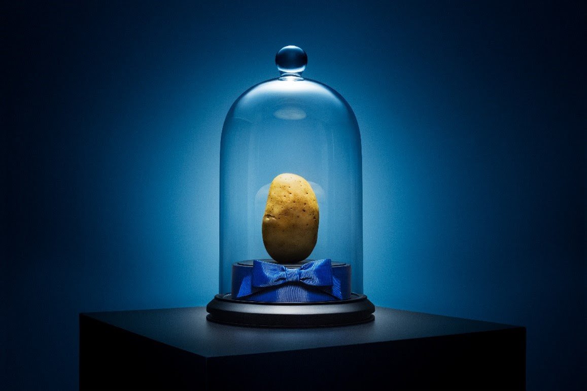 Batata que seria jogada no lixo é leiloada por R$ 100 mil reais em ação de Hellmann’s contra o desperdício de