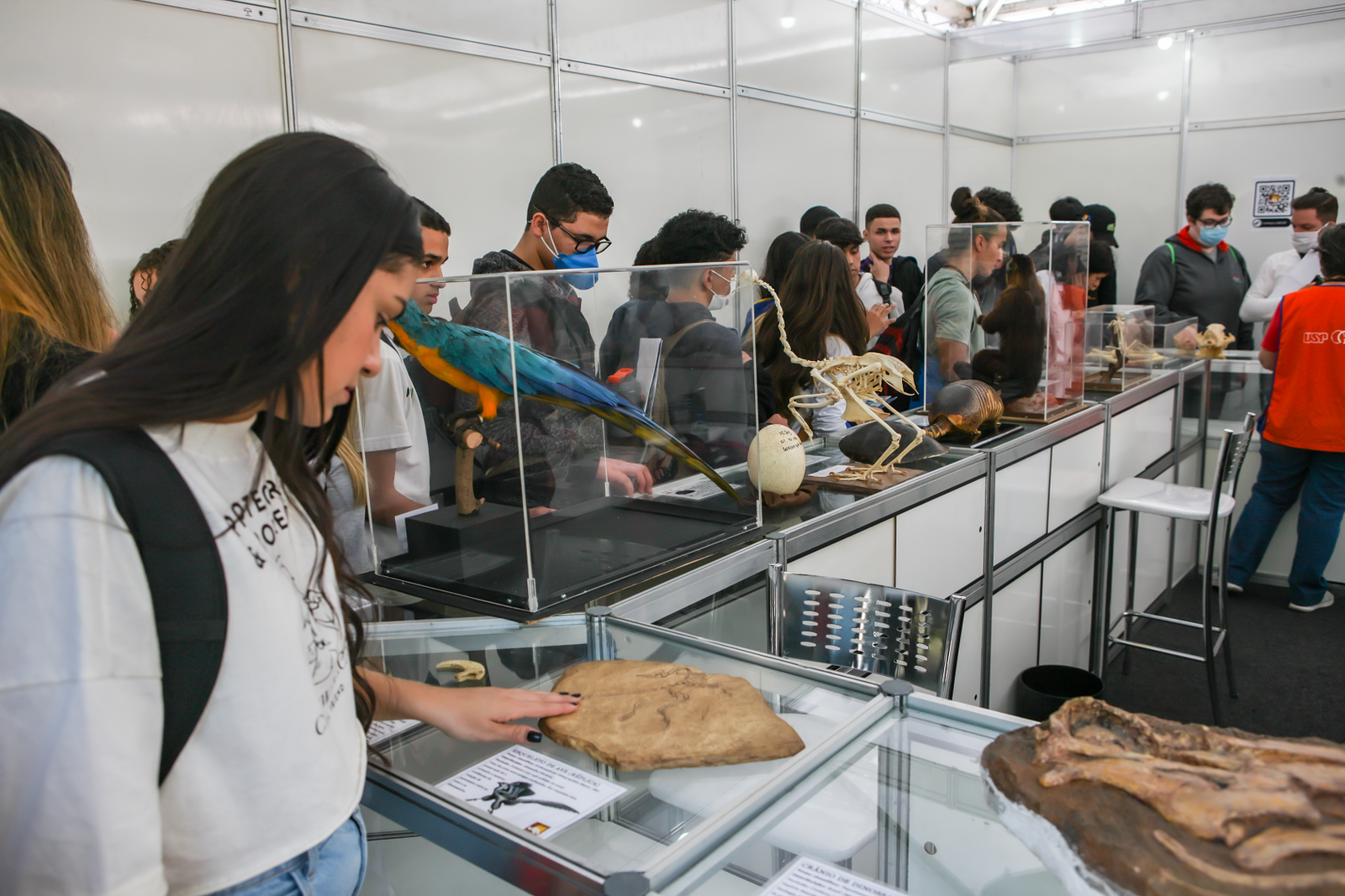 Cidade Universitária recebe em setembro a edição anual da Feira USP e as Profissões - imagem 9