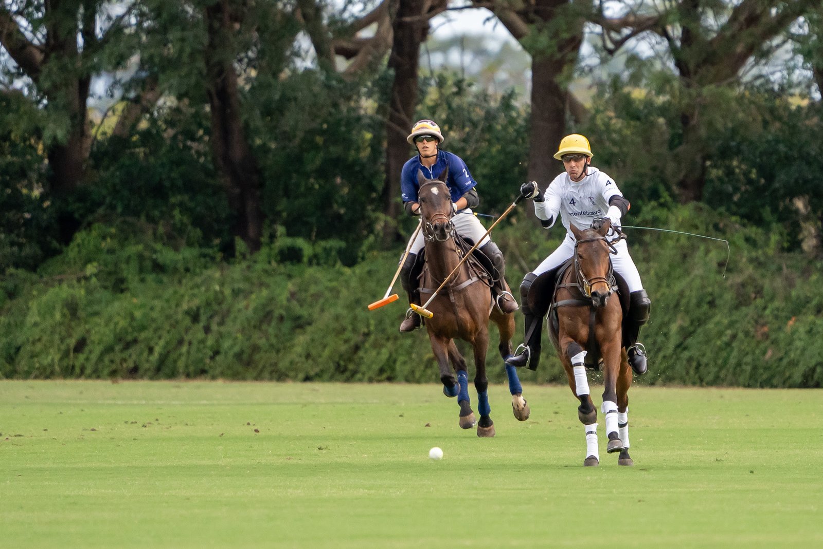 Maragata Polo Experience no Helvetia Polo Country Clube - imagem 3