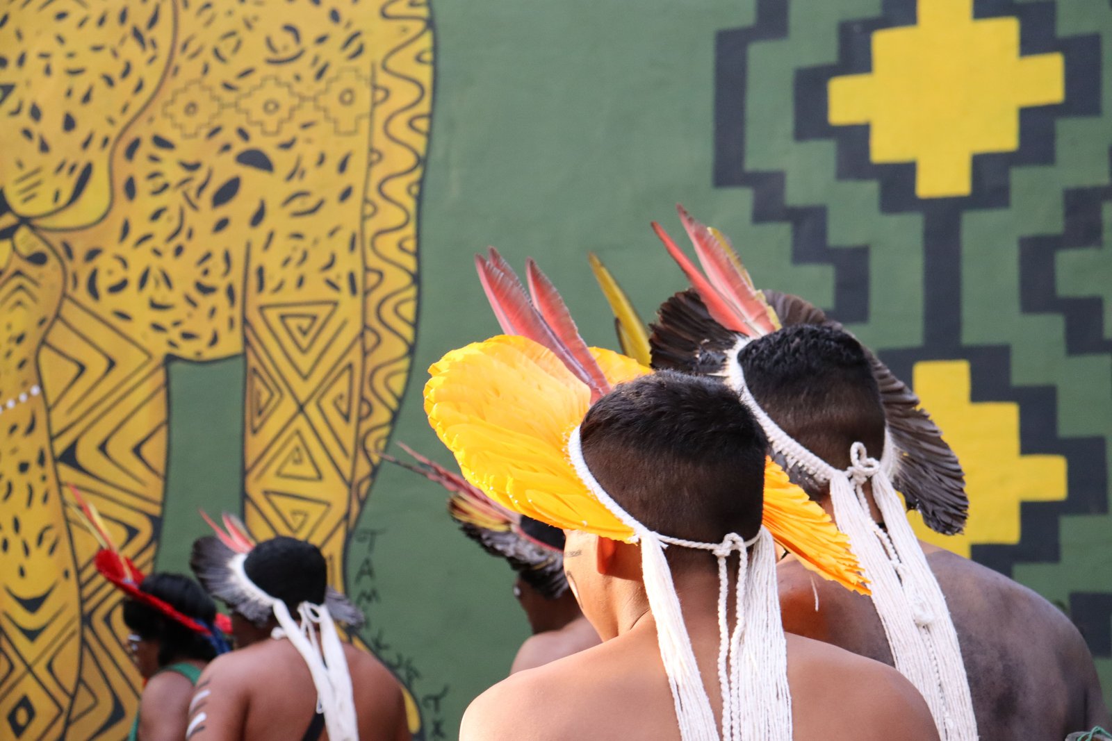 Museu das Culturas Indígenas participa de debates sobre território e preservação cultural dos povos - imagem 2