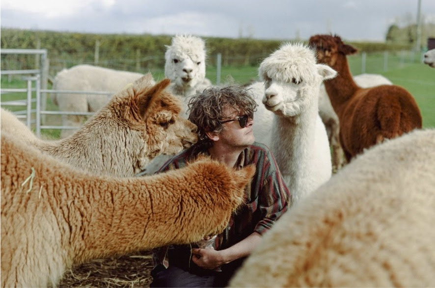 Bill Ryder-Jones Anuncia novo álbum Iechyd Da disponível dia 12 de Janeiro de 2024 Compartilha novo single - imagem 2