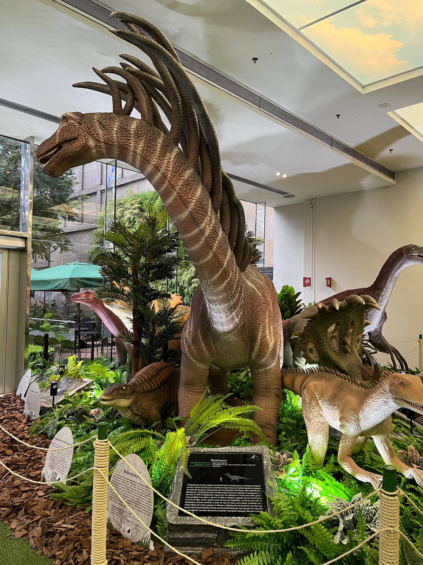 Invasão de dinossauros no MorumbiShopping: “O Mundo dos Dinossauros” é a maior exposição do gênero da América - imagem 5