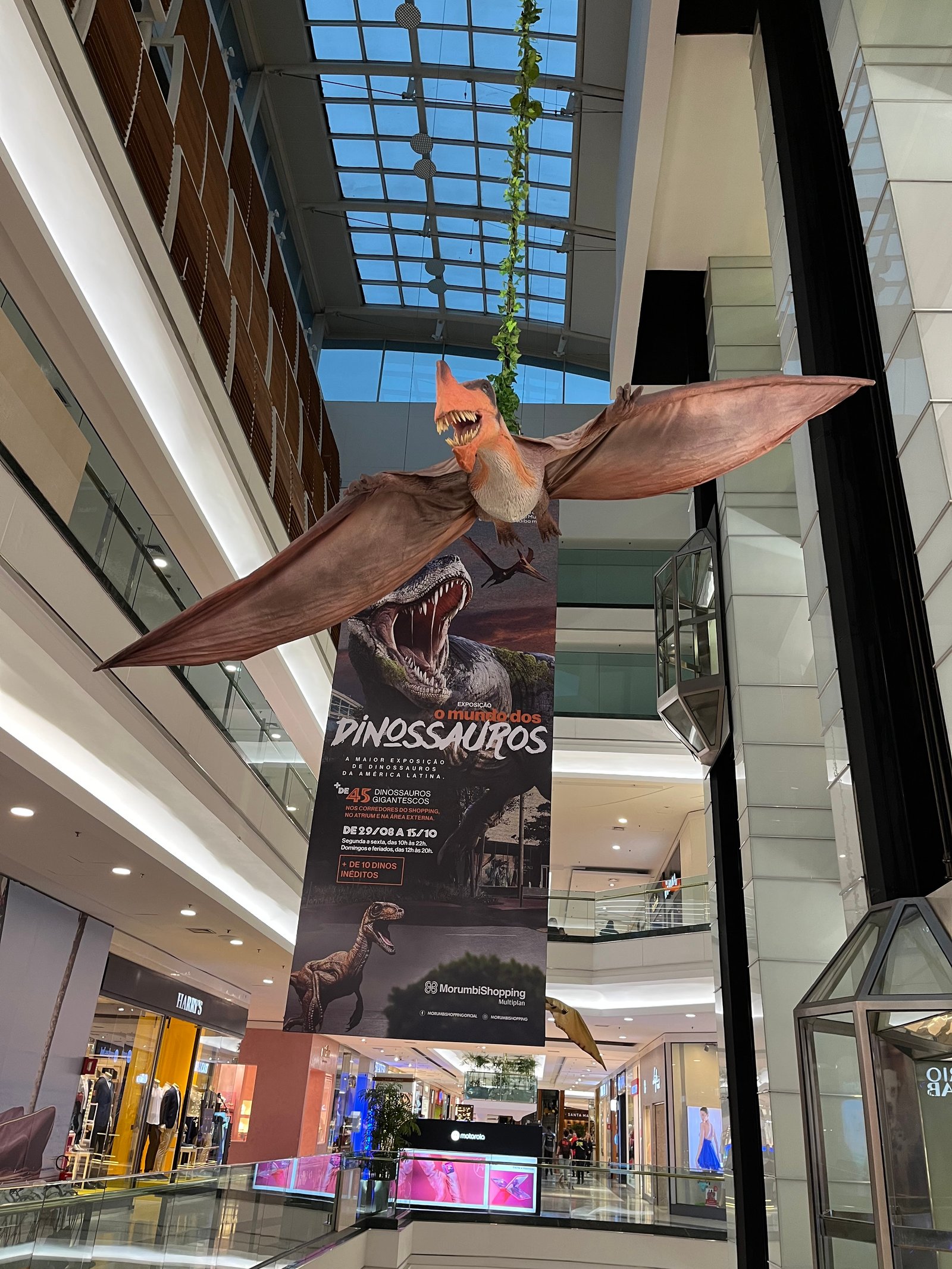 Invasão de dinossauros no MorumbiShopping: “O Mundo dos Dinossauros” é a maior exposição do gênero da América - imagem 7