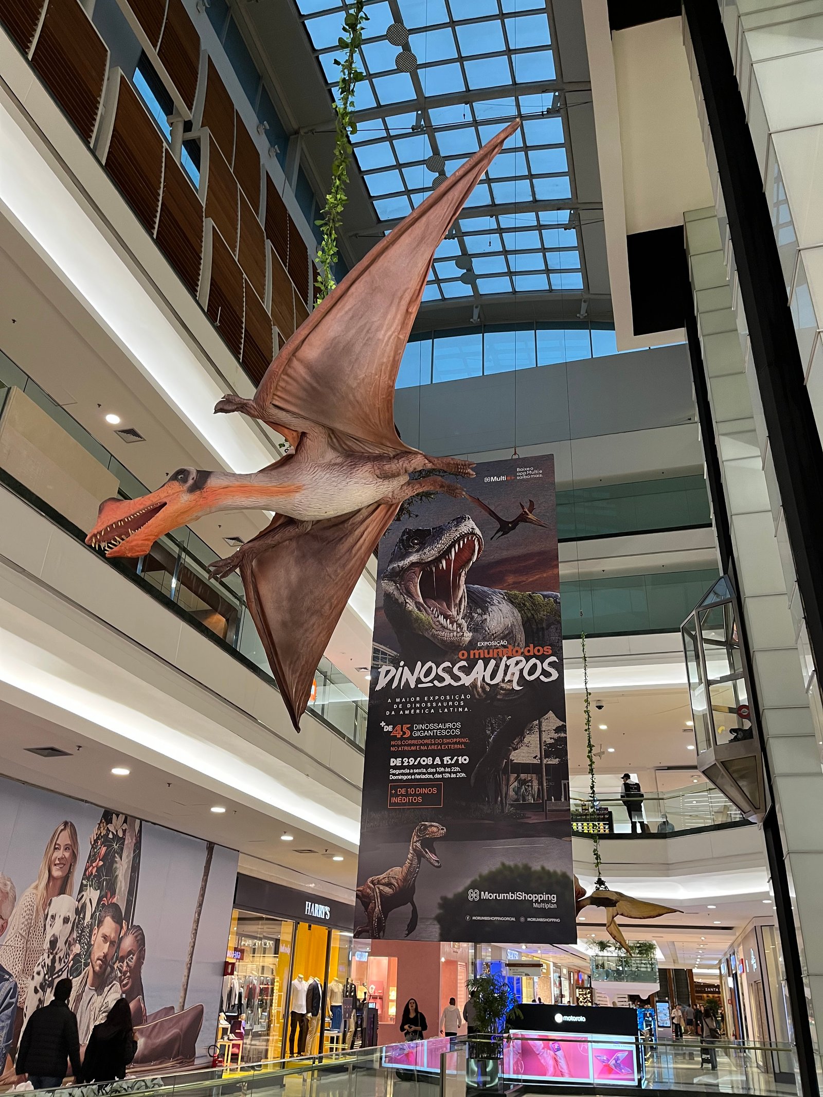 Invasão de dinossauros no MorumbiShopping: “O Mundo dos Dinossauros” é a maior exposição do gênero da América - imagem 8