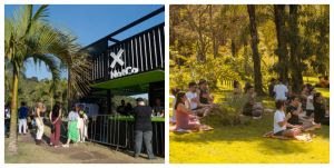 NotCo no MECA Jardim: uma experiência cultural e sustentável que você não pode perder