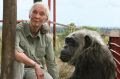 Dra.Jane Goodall vem ao Brasil para uma noite de inspiração na Unibes Cultural - imagem 2