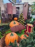 Natal no “Wizarding World Harry Potter” do Center Norte