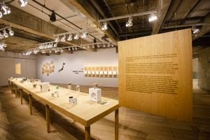 Japan House São Paulo promove exposição "NIHONCHA - introdução ao chá japonês" que apresenta as formas de
