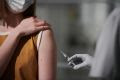Vacinação contra dengue: esclareça suas dúvidas e saiba mais sobre imunização