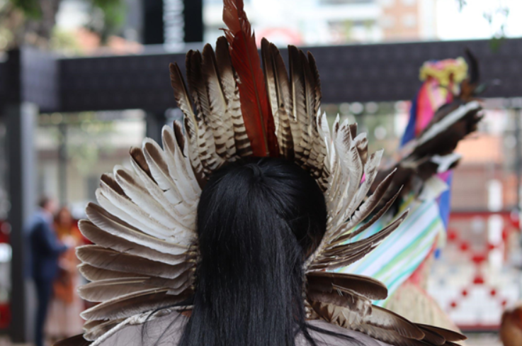 Carnaval no Museu das Culturas Indígenas: instituição conscientiza público sobre o uso de indumentárias - imagem 2