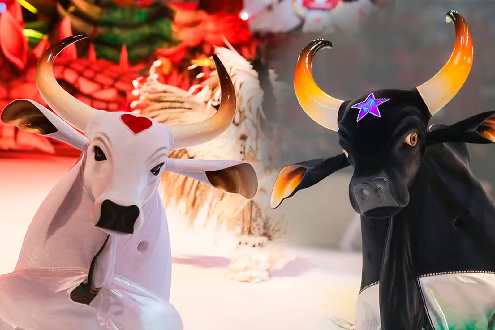 Festival de Curitiba traz, pela primeira vez ao Sul do Brasil, Caprichoso e Garantido, o duelo de bois da
