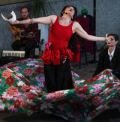 O Mundo Circo SP traz seleção variada de espetáculos na 2ª quinzena de abril; entre eles "Somos Todas Frida - imagem 2