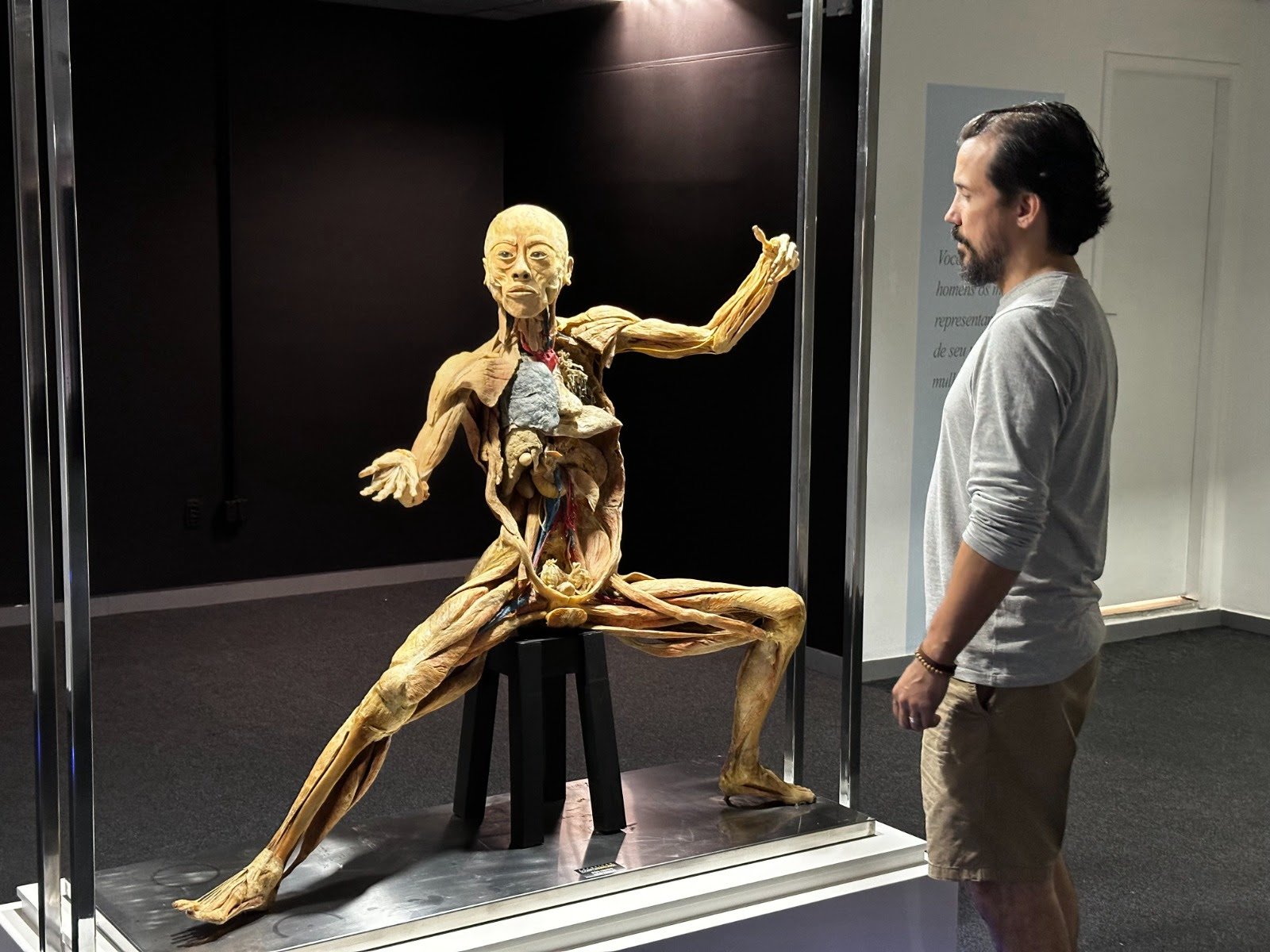 Exposição Internacional ‘Corpo Humano’ chega a São Paulo - imagem 2
