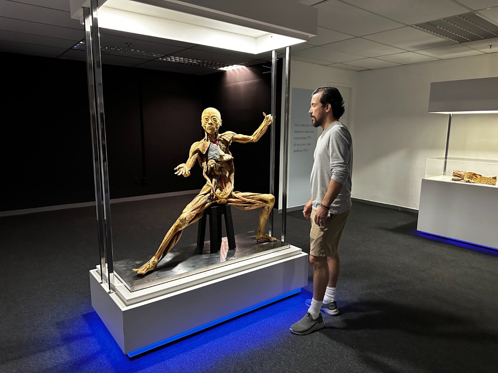 Exposição Internacional ‘Corpo Humano’ chega a São Paulo - imagem 4