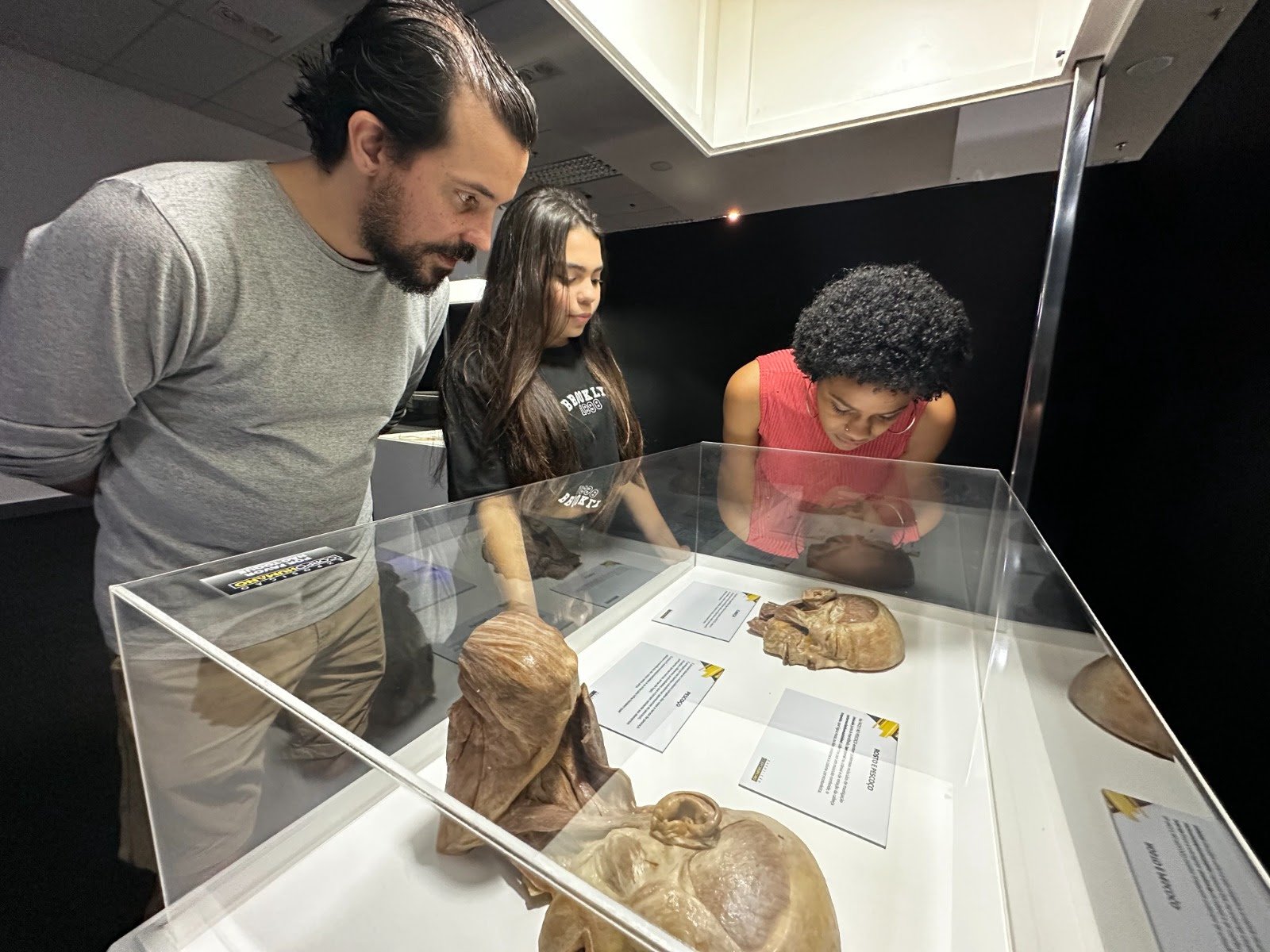 Exposição Internacional ‘Corpo Humano’ chega a São Paulo - imagem 5