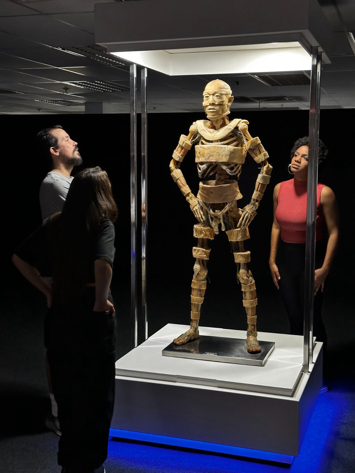 Exposição Internacional ‘Corpo Humano’ chega a São Paulo - imagem 6