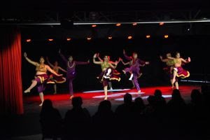 24ª edição do Dia da Dança traz apresentações diversas com bailarinos de todas as idades - imagem 3