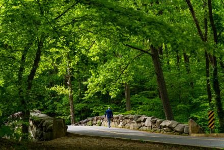 Washington, DC - Descubra a capital americana sem gastar muito - imagem 4