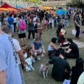 Rua Augusta recebe maior Festa Junina Vegana do Brasil com comidas típicas e aula de forró gratuita - imagem 10