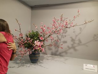 Festival do Japão 2025 celebra cultura, tradição e diversidade em São Paulo - imagem 7